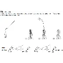 123a103.webp