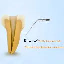 123a107.webp
