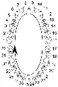 universal_numbering_system.webp