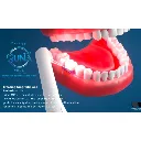 7.webp