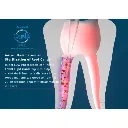 8.webp