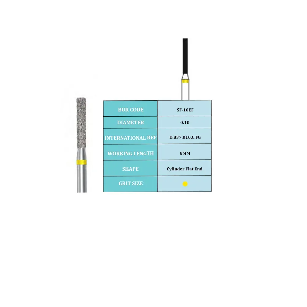 SF-EF (3).webp