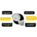 unnamed_3__2_4.webp