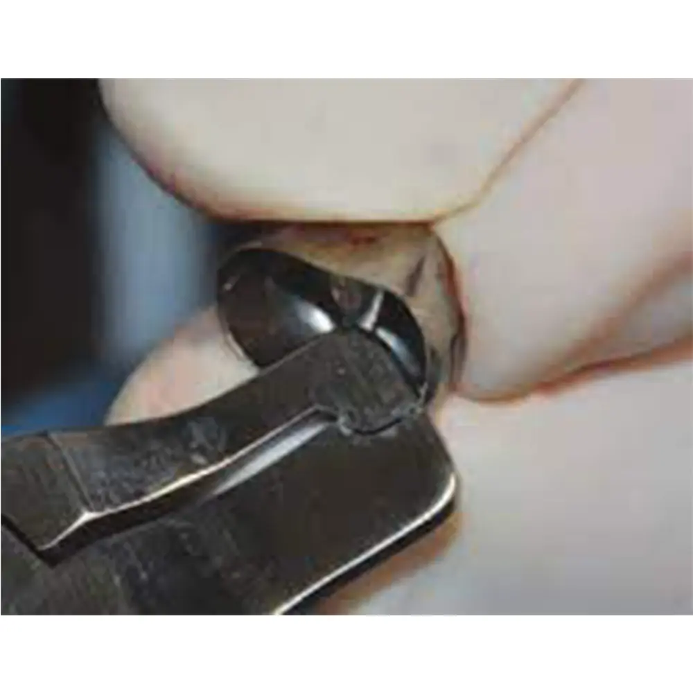 crimping_plier4.webp