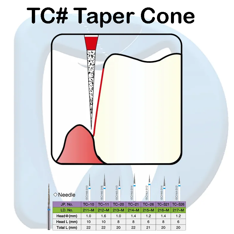 TC 2.webp