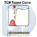 TC 2.webp