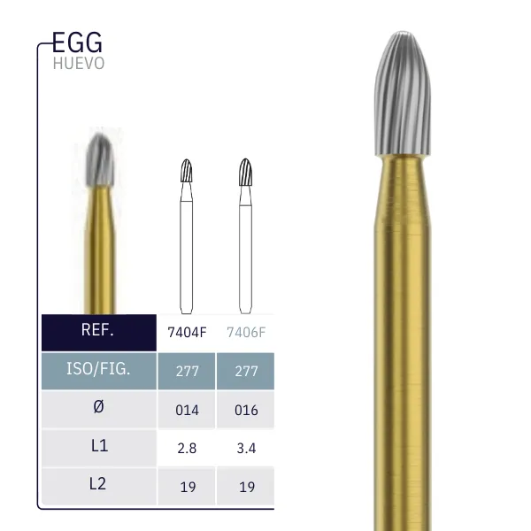 EGG.webp