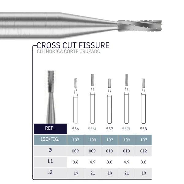 CROSS CUT FISSURE.webp