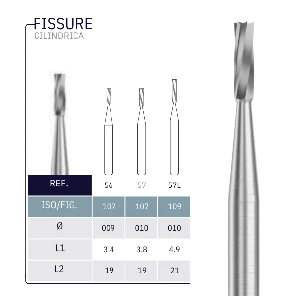 FISSURE.webp