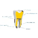 artboard_1_5_4.webp