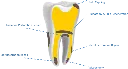 mta-indication-or-use-1024x559.webp