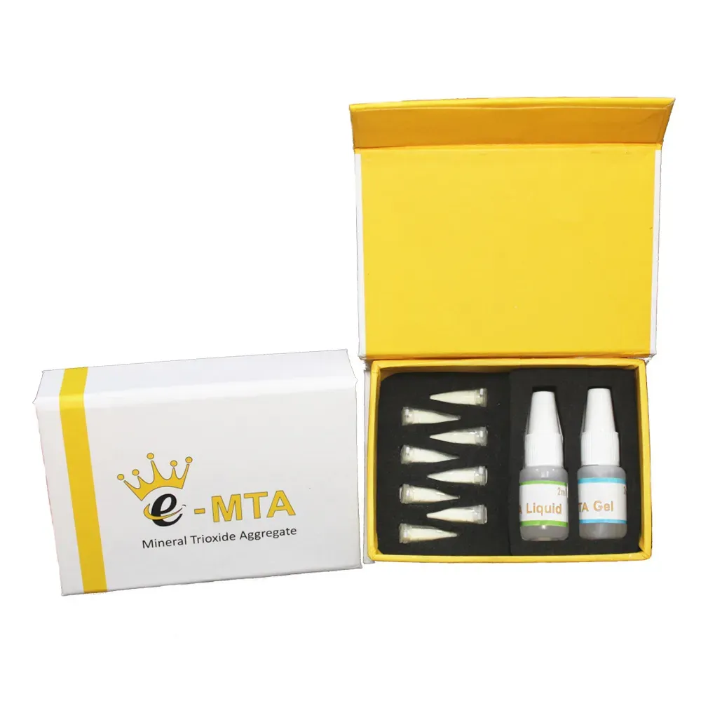 mta2.webp