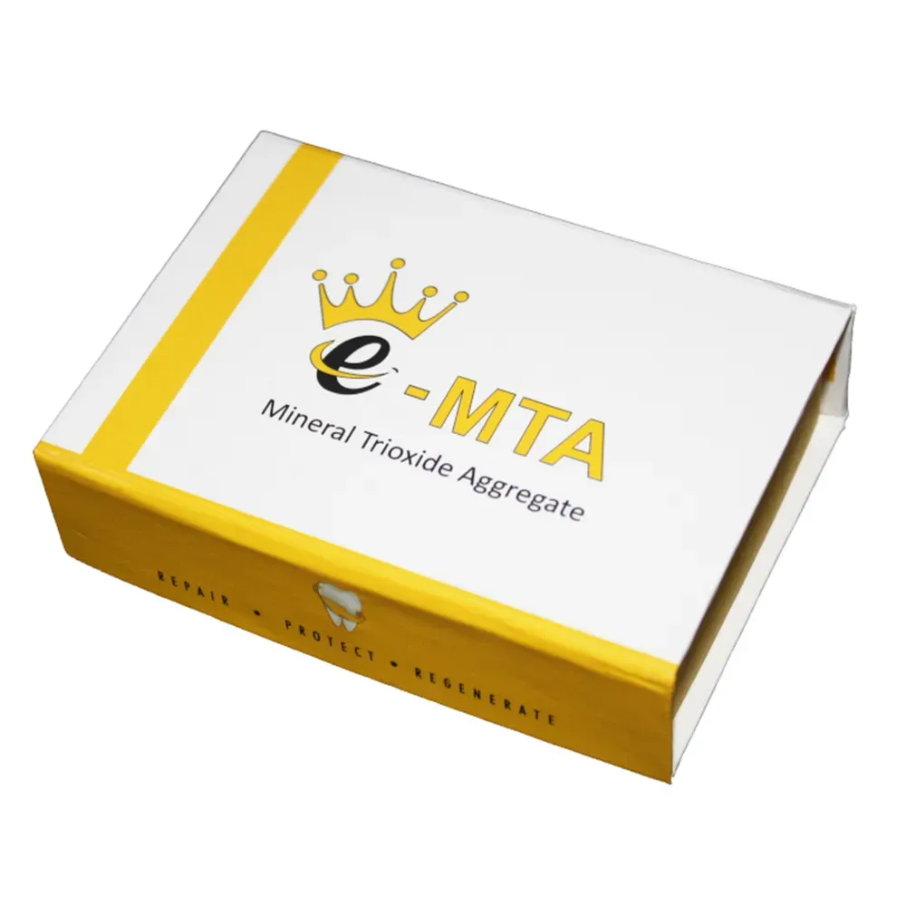 mta_1_2.webp