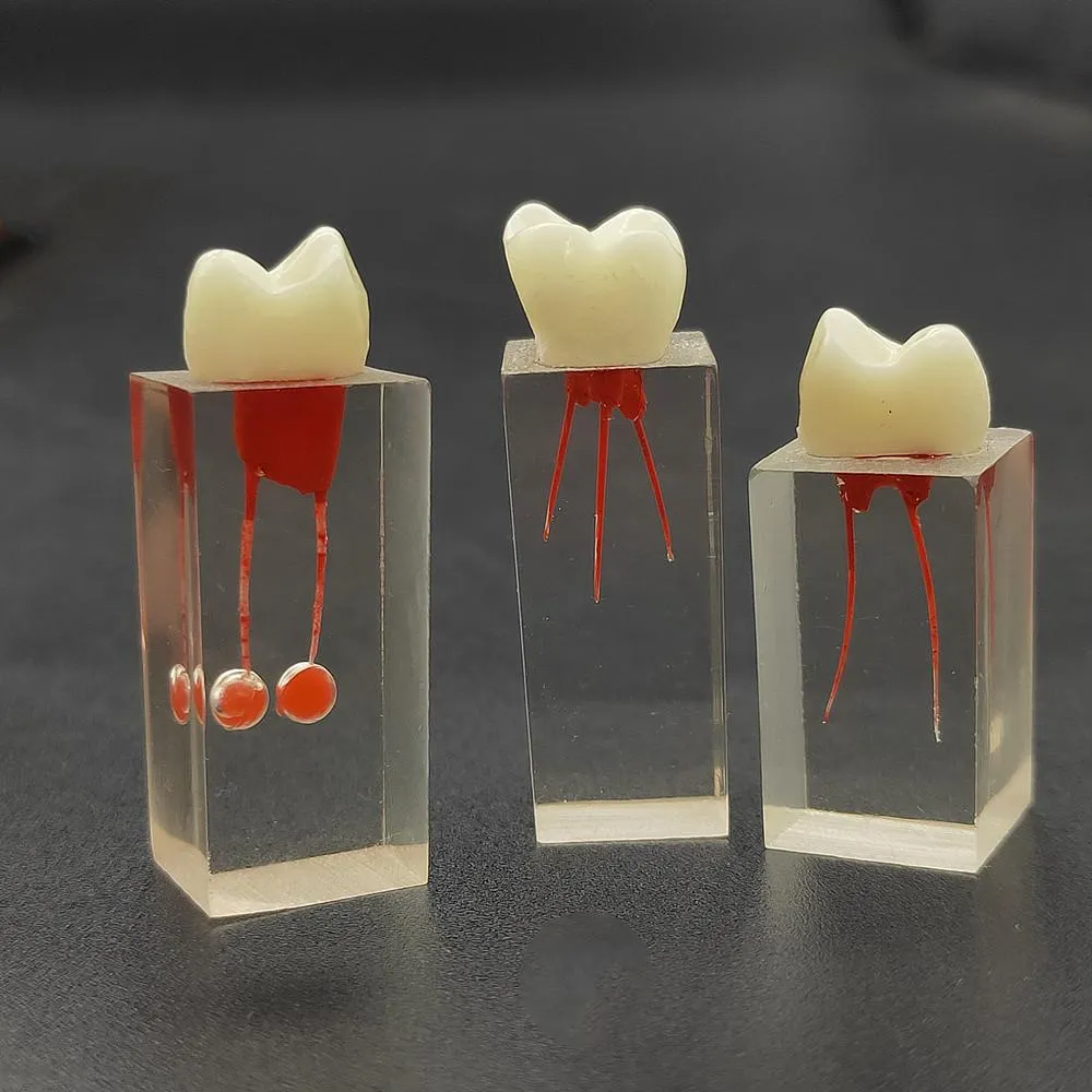 254df5443ac6ace55fc76d88617b270e3443e952_original.webp