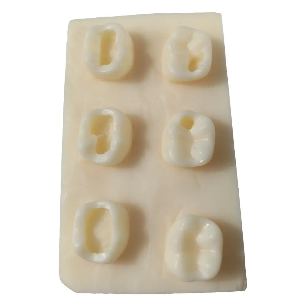 قوالب تدريب 6 teeth