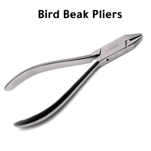 بلاير تقويم Bird Beak