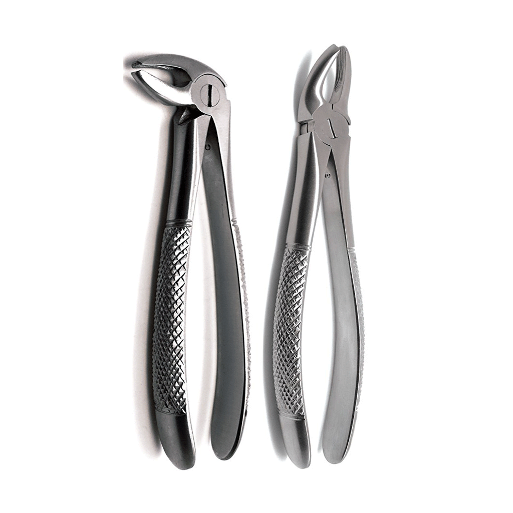 فورسبس  Forcep بالحبة