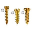 Mini Screws