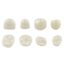 Zirconia Crowns